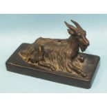 A 19th century bronze figure of a recumbent goat on a black marble plinth, 16cm x 10cm.