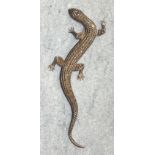 A large silver and marcasite brooch in the form of a lizard, 14.5cm long.