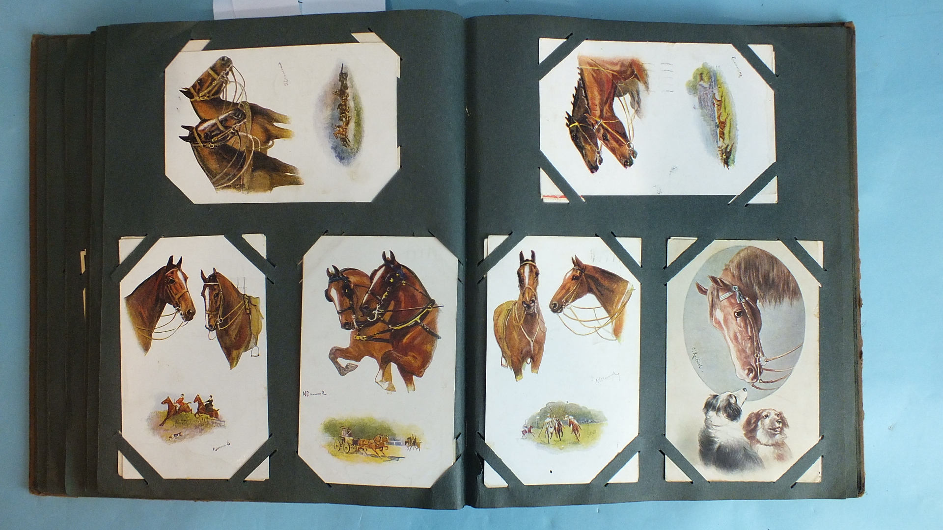 An album of 139 postcards of animals and birds, including hunting.