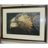 After Carl Brenders, 'Sovereign Gold', a close-up study of a Golden Eagle, signed limited edition