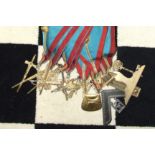 A set of thirteen ladies Craft Masons blue and red-trimmed collars and gilt metal jewels, various EA