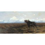 Friedrich Wilhelm Kuhnert (1865-1926) IN THE MARSH - A CAPE BUFFALO STANDING IN A MARSH, WITH