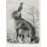 Timothy Greenwood (20th century), "Hare", signed etching, 46/50, 30 x 22.5cm, (artist details on
