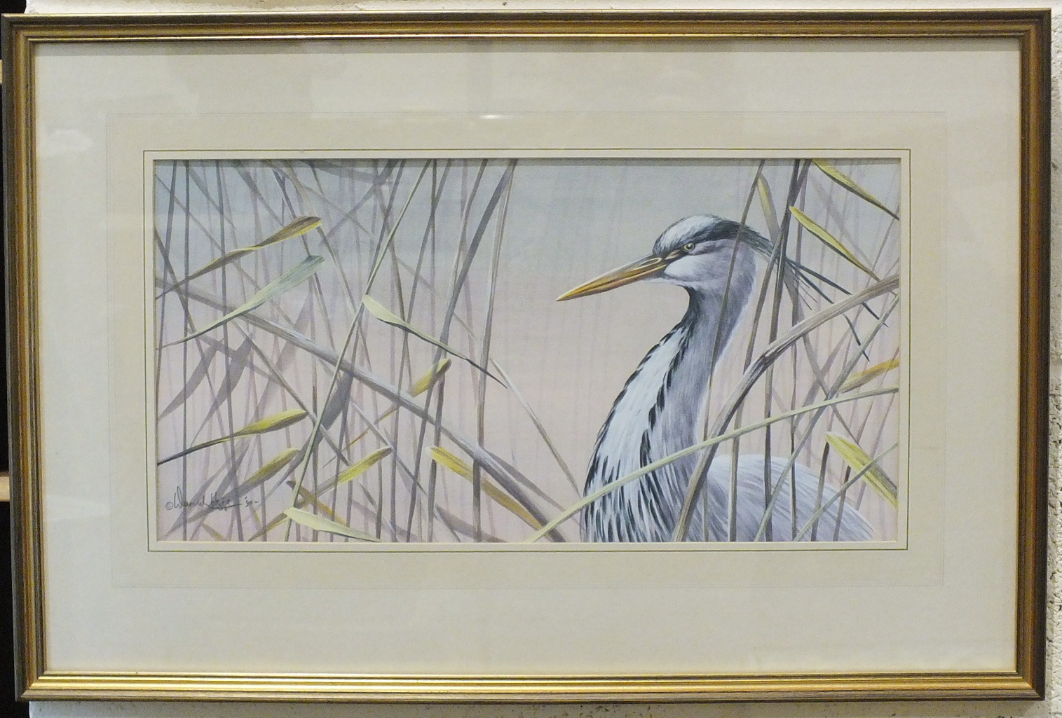 •Warwick Higgs (British, b.1956) GREY HERON Signed gouache, dated '90, 24 x 46cm.