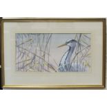 •Warwick Higgs (British, b.1956) GREY HERON Signed gouache, dated '90, 24 x 46cm.