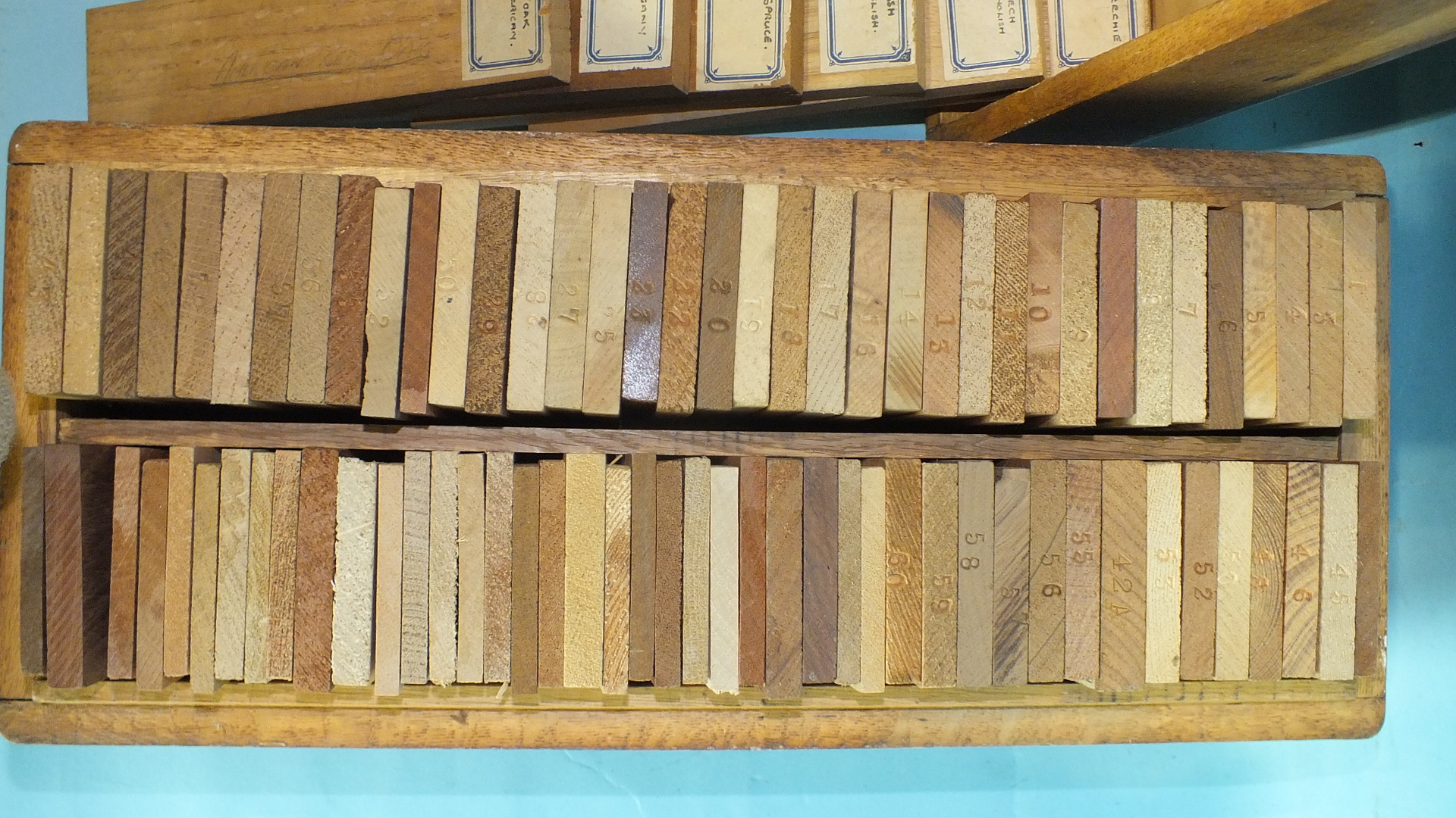 A part-set of Fitchett & Woollacott Ltd wood samples in fitted box, with index of sixty samples,