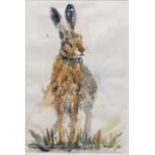 •Karen Thomas SCRUFFY HARE Signed watercolour, 55 x 36cm, (modern artist's label verso).