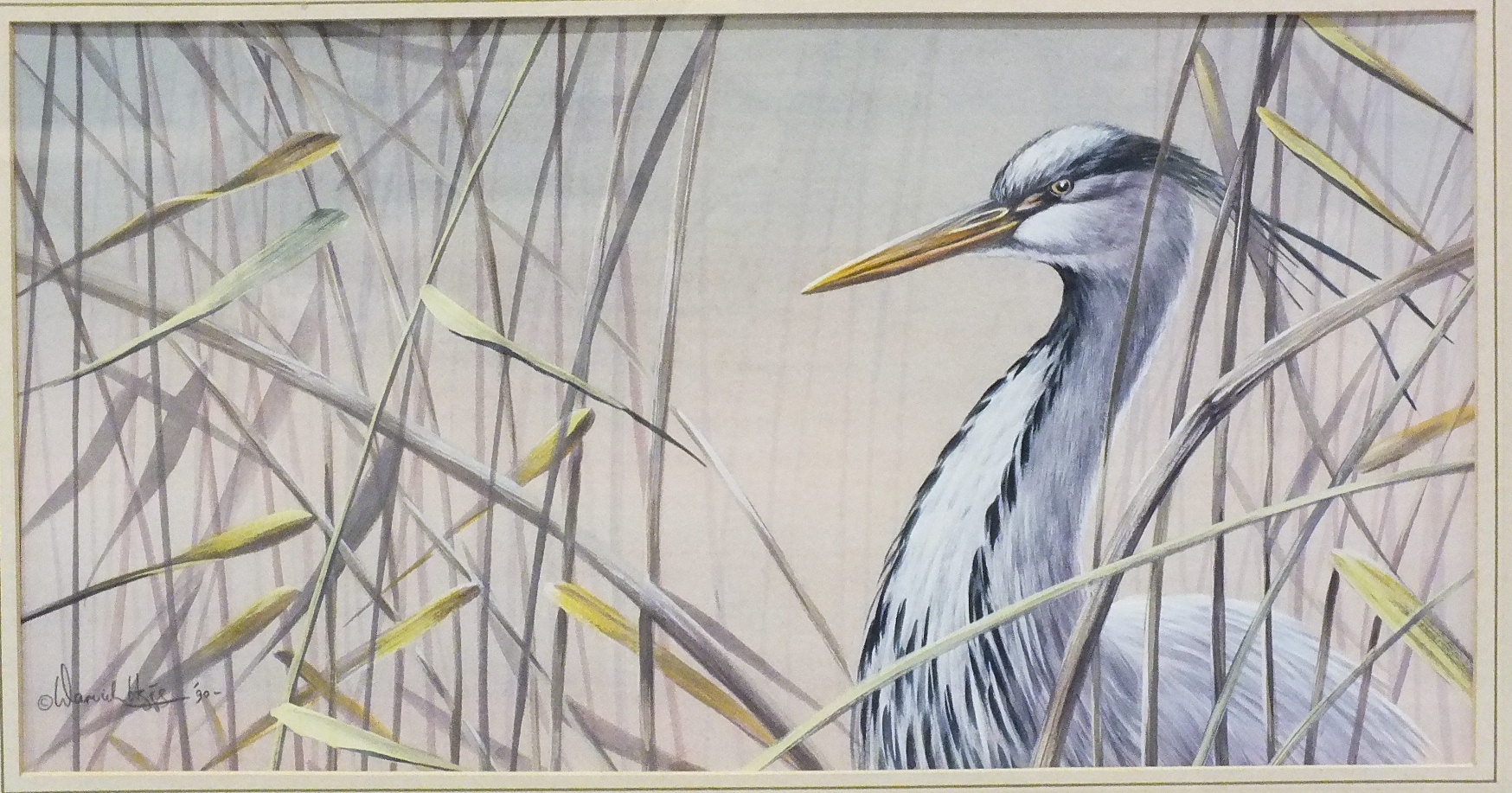 •Warwick Higgs (British, b.1956) GREY HERON Signed gouache, dated '90, 24 x 46cm. - Image 2 of 2