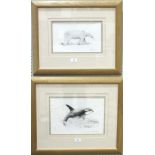 •Robin Armstrong (20th century) POLAR BEAR Signed pencil drawing, 17.5 x 29cm and a companion, ORCA,