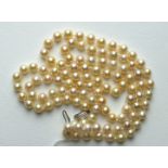 A long string of uniformly-sized cultured pearls, 7.5mm diameter, 100cm long, with 9ct white gold