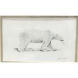 •Robin Armstrong (20th century), "Polar Bear", a signed pencil drawing, 17.5 x 29cm and a companion,