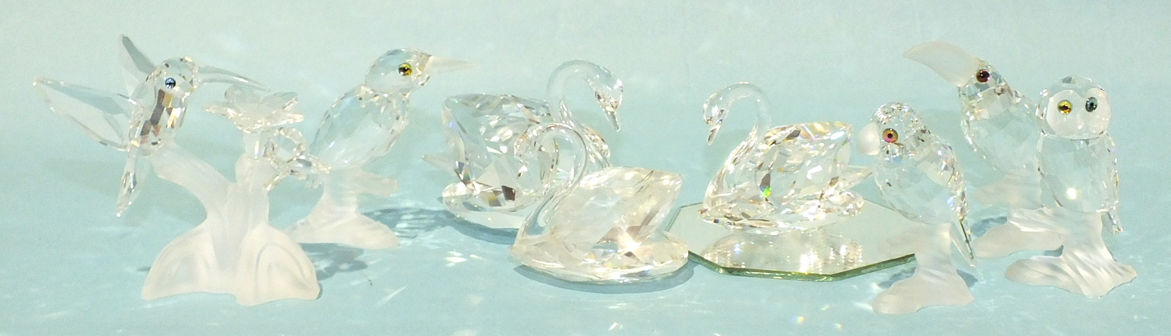 A collection of eight Swarovski crystal glass figures, including 'Kingfisher on branch', 'Toucan