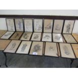 BOX 19 PRINTS / DRAWINGS (AF)