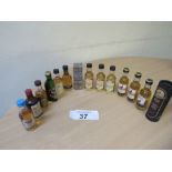 14 ASSORTED WHISKY MINIATURES