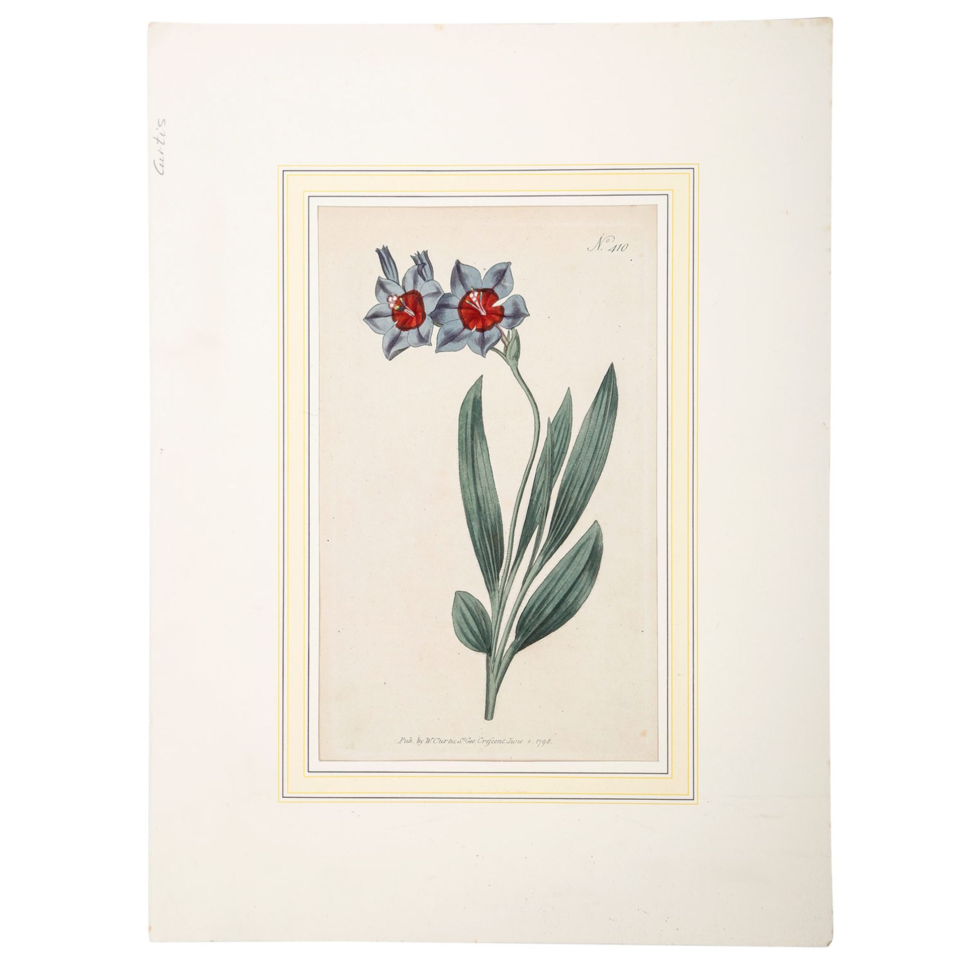 SANSOM, Francis u.a. (Kupferstecher Ende 18. Jh./um 1800), 6 kolorierte Blumenstiche, verlegt bei W. - Image 3 of 7