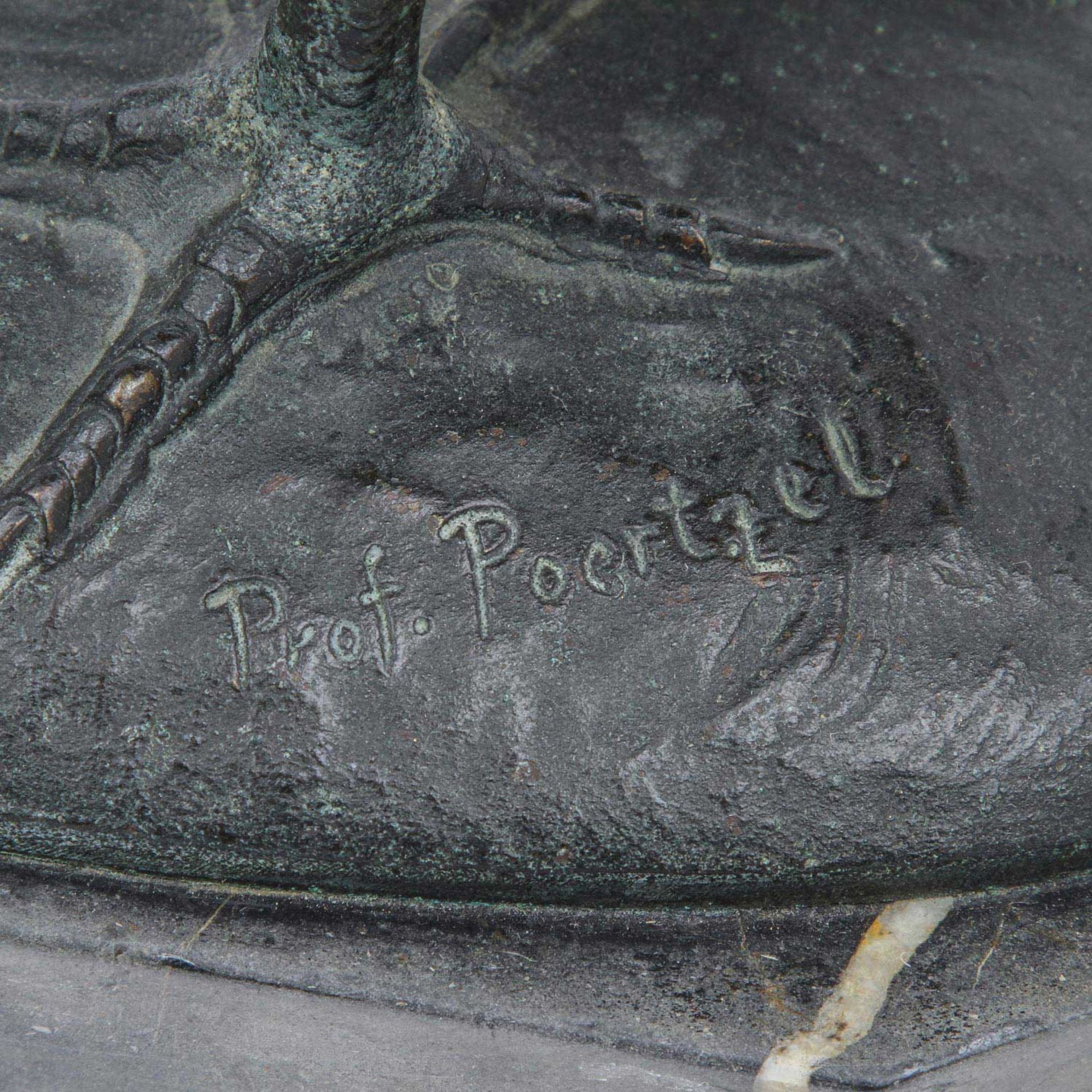 POERTZEL, OTTO (1876-1963), "Fasanenpaar",Bronze, patiniert, rückseitig auf der Plinthe sign. 'Prof. - Image 6 of 6