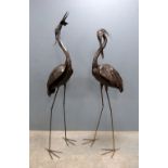 Pair of modern metal sculptures of herons, one with a fish in it's mouth, 165cm and 146cm high, (2).