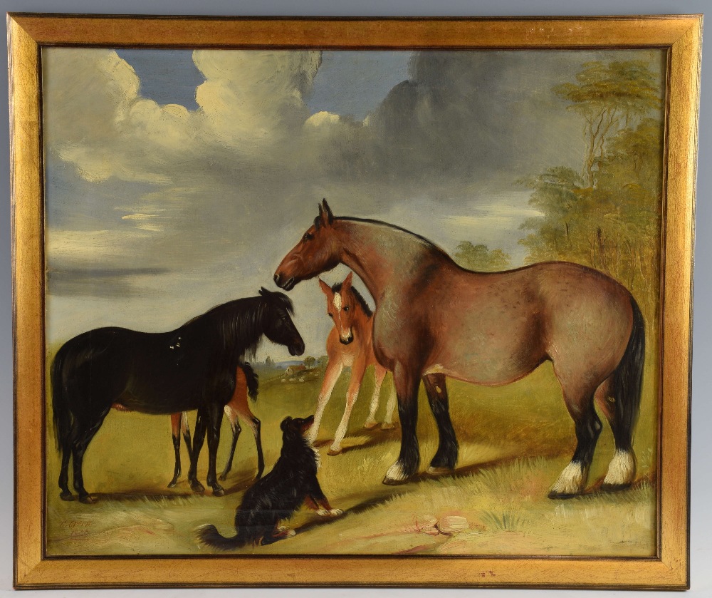 C. Green. Horses and Foals with a collie dog in a field. Oil on canvas. Signed and dated 1865. - Image 4 of 8