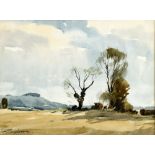 Edward Wesson (British, 1910-1983), Watercolour, Chanctonbury Ring, signed, 21x29cm . condition