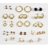 Group of gold earrings, hoops and studs . Gold only items 16 grams pearl and gem set items 6.7 grams