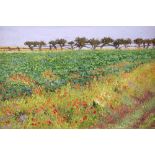 K. Ferguson, 'Poppies in a turnip field 2', signed and dated '85, oil on board, 30.5cm x 49cm, .