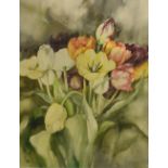 W Gajek, Pair, Irises and Narcissus, watercolours, signed, each 41cm x 31cm.