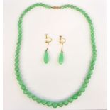 Jadeite jade bead necklace and earrings, graduated beads measuring from 5 - 9mm, measuring