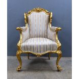Louis XVI style armchair with upholstered seat and back, on claw feet, gold painted.