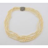 Four strand pearl necklace with diamond clasp, graduated white round pearls, measuring from 3mm to