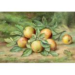 Joseph Bunker (British, 19th century). Still life of apples. Watercolour. Signed bottom left. Joseph