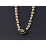 Edwardian cultured pearl necklace set to clasp with old cut diamonds and a single grey pearl .