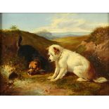 19th Century oil on board of two Terriers unsigned 27 x 35 cm .