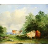 19th Century English school, Cattle by a watering hole, unsigned oil on canvas 23 x 28 cm .