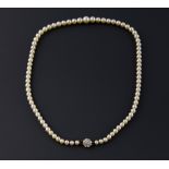 Edwardian graduated cultured pearl necklace, cream round pearls measuring from 8 to 4mm in diameter,