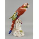 Early 20th Century Meissen figure of a Parrot on perch with cherries , unmarked 37cm high.
