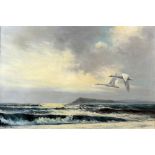 Wilfred Bailey (British, 1942-54). 'Whooper swans over the bay', oil on canvas, signed, 50cm x 75cm.