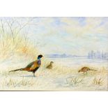 Richard Harrison (British, b. 1954). Winter scene with cock pheasant and young, signed, watercolour,