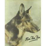 † Rin Tin Tin (1922 - 1931) A large official Warner Bros. publicity colour card oversized