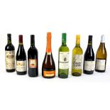 Eight bottles of wine to include Vina Extremena Palacio de Valdeinfante, Bodegas Navarro Lopez