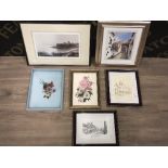 6 FRAMED PICTURES