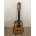 ROSARIO GUITAR