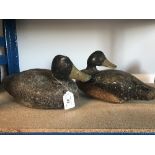 PAIR OF AMERICAN CORK BODIED DECOY DUCKS CHESAPEAKE BAY AREA C1910