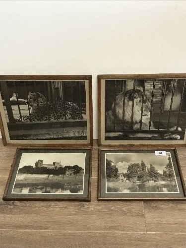4 PHOTOGRAPHIC PRINTS BY GLADSTONE ADAMS 1880-1966 LONDON ZOO & RURAL ALL SIGNED