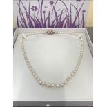 GOOD QUALITY STRIP OF PEARLS ON SOLID GOLD AND PEARL CLASP