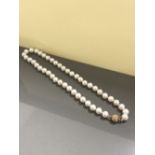 FRESH WATER CULTURED PEARLS WITH 14K CATCH