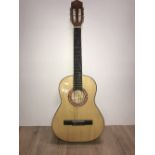 ELECTRIC ACOUSTIC GUITAR & BAG