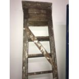 TALL PINE STEP LADDERS