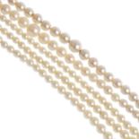 Three cultured pearl necklaces. To include a three-row cultured pearl necklace, together with two