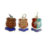 A selection of enamel town charms. To include town charms for Cardigan, Truro, Loughborough, Jersey,