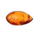 Two pieces of natural Dominican Republic amber with inclusions. To include a polished piece of amber